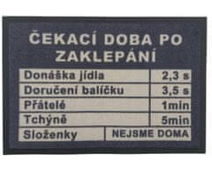 GDmats Rohožka Čakacia doba 40x60 cm 40x60