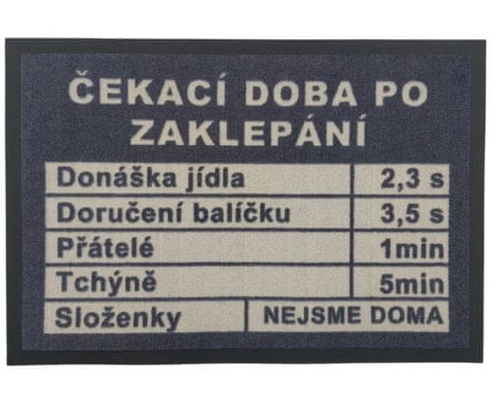 GDmats Rohožka Čakacia doba 40x60 cm