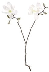 Shishi Biela magnólia s dvoma kvetmi 74 cm