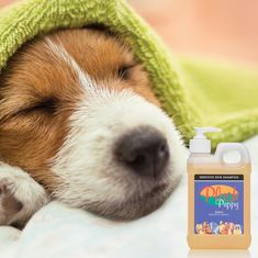 Plush Puppy Šampón na citlivú kožu Sensitive Skin Shampoo 100 ml