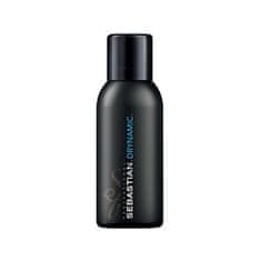 Suchý šampón Drynamic (Shampoo) (Objem 212 ml)