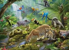 Ravensburger Puzzle Zvieratá v dažďovom pralese 60 dielikov