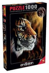 AnaTolian Puzzle Divoký tiger 1000 dielikov