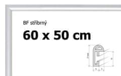 BFHM Plastový rám na puzzle 60x50cm - strieborný