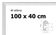 BFHM Plastový rám 100x40cm - strieborný