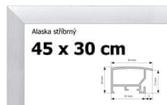 BFHM Alaska hliníkový rám 45x30cm - strieborný