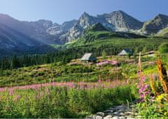 Cherry Pazzi Puzzle Gąsienicowa dolina, Vysoké Tatry 1000 dielikov