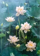 Cherry Pazzi Puzzle Biely lotus 1000 dielikov