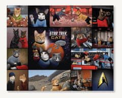 Chronicle Books Puzzle Star Trek Cats 1000 dielikov
