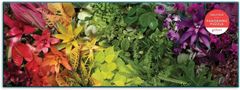 Galison Panoramatické puzzle Život rastlín 1000 dielikov