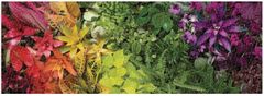 Galison Panoramatické puzzle Život rastlín 1000 dielikov