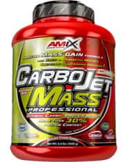 Amix Nutrition CarboJet Mass Professional 3000 g, vanilka