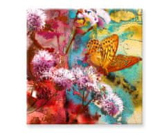 Peknastena Obrazy na stenu - Maľba Motýľ 50x50cm