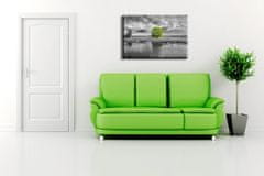 Peknastena Obrazy na stenu - Zelený strom 90x60cm