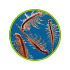HOBBY aquaristic HOBBY Artemia breeder - chovná miska na artémie