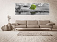 Peknastena Obrazy na stenu - Zelený strom - panoráma - 170x60cm