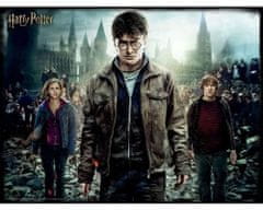Prime 3D Puzzle Harry Potter: Harry, Herminona & Ron 3D XL 300 dielikov