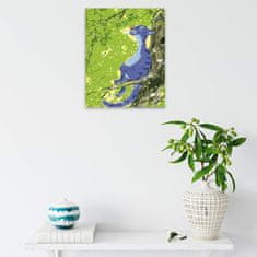 Malujsi Maľovanie podľa čísel - Spokojná mačka - 80x100 cm, plátno vypnuté na rám