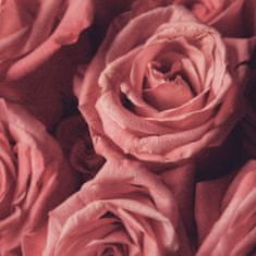 BioFresh Čistiace tekuté mydlo s vôňou ruží Mystic Biofresh 500ml