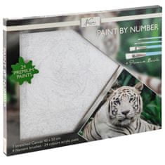 Grafix Maľovanie podľa čísel na plátno - Biely tiger 40x50 cm