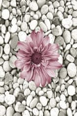 Conceptum Hypnose Koberec Bloom 60x100 cm šedý/ružový