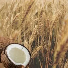 Aroma Šampón na lámavé vlasy a rozštiepené končeky Pšenica a kokosové mlieko Aroma 400 ml