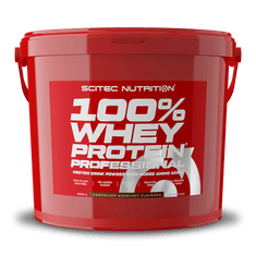 Scitec Nutrition  100% Whey Protein Professional 5000 g chocolate hazelnut