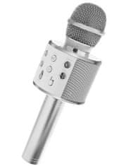 sapro Karaoke mikrofón WS-858/Izoxis 22188 SILVER