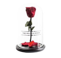 The Million Roses  Ruža v skle, červený 