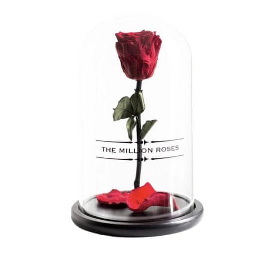 The Million Roses  Ruža v skle, červený