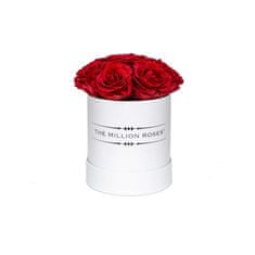 The Million Roses The Million Roses Basic box - červené trvácne ruže , biela