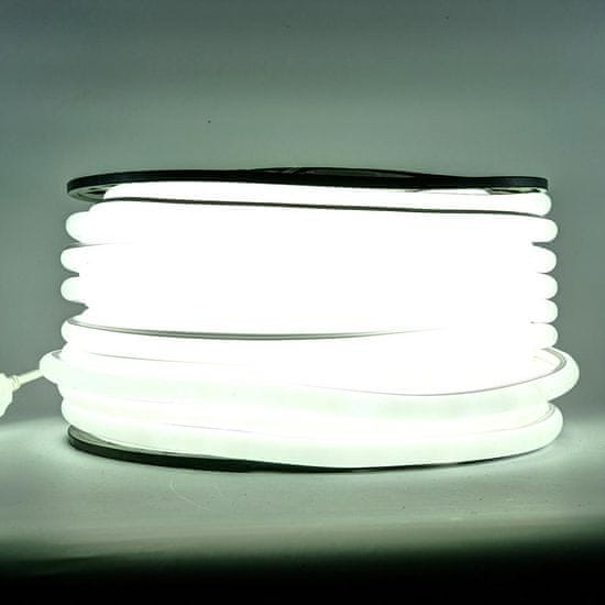 DecoLED D-TYP jednostranný LED Neon, ľadovo biela, IP67, 1 m