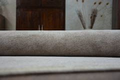Dywany Lusczów Kusový koberec SERENADE Hagy šedý, velikost 170x230