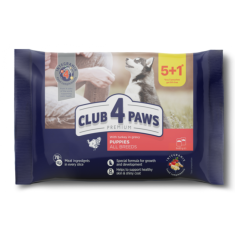 Club4Paws Premium Kapsička pre šteniatka s morčacím mäsom v omáčke 5+1 (6 x 80g)