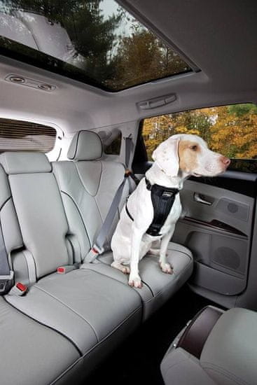 Kurgo Kurgo Bezpečnostný pás pre psa do auta Seatbelt Tether čierny