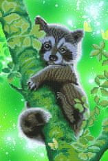Picmondoo Diamantová maľba - Sweet Raccoon