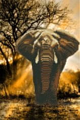 Picmondoo Diamantová maľba - Slon africký