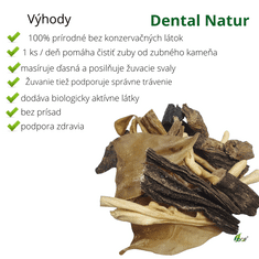 OGF Dental Natur (S) zubná hygiena pre malé a stredné plemená Mix prírodných pamlskov