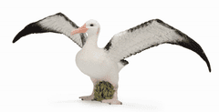 COLLECTA figúrka Albatros sťahovavý