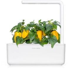 Click and Grow Sladká žltá paprika náhradné kapsuly 3ks