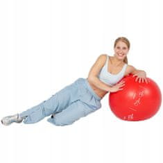 Medi Sleep Cvičebná lopta, rehabilitácia, gymnastika 65