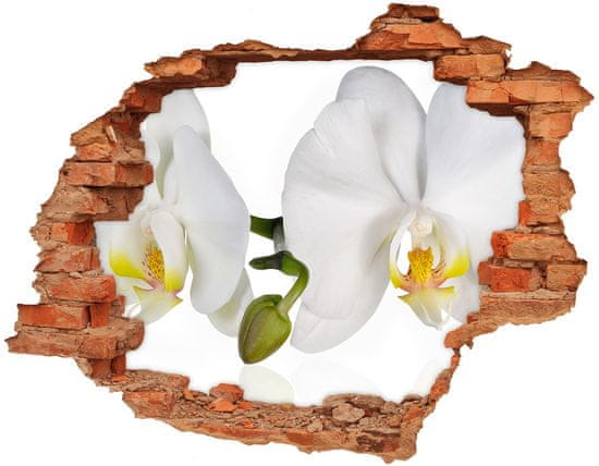 Wallmuralia.sk 10D diera nálepka Orchidea