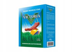 Floraland Trávne semeno Sun 0,8 kg Victoria