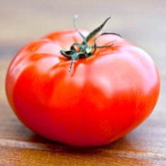 Legutko BETALUX mleté semená trpasličích paradajok 0,5 g