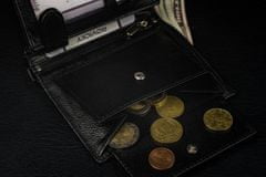 RONALDO Pánska veľká kožená peňaženka, vertikálna so zapínaním