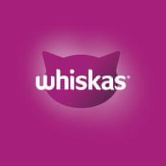 Whiskas kapsičky výberové menu v želé pre dospelé mačky 40x85 g