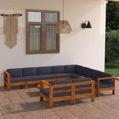 Petromila vidaXL 10-dielna záhradná sedacia súprava s tmavosivými podložkami akáciové drevo
