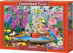 Castorland Puzzle Rytmus prírody 2000 dielikov