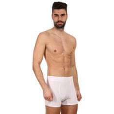 Gino Pánske boxerky bezšvové bambusové biele (54005) - veľkosť L