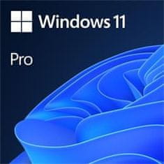 Microsoft OEM Windows 11 Pre 64-Bit English 1pk DVD